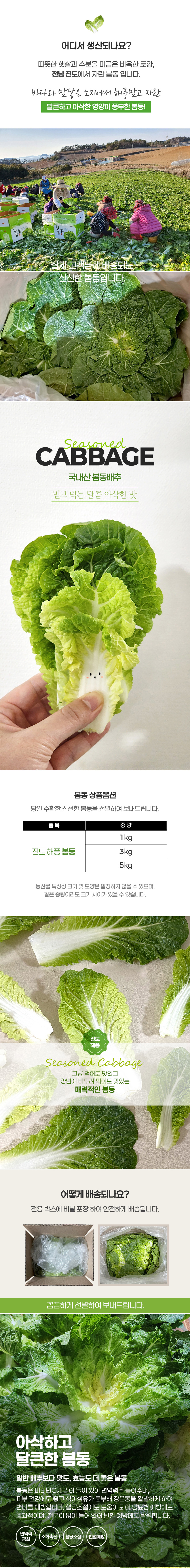 봄동,진도봄동,봄동김치,봄동겉절이,봄동비빔밥,봄동된장국,봄동무침