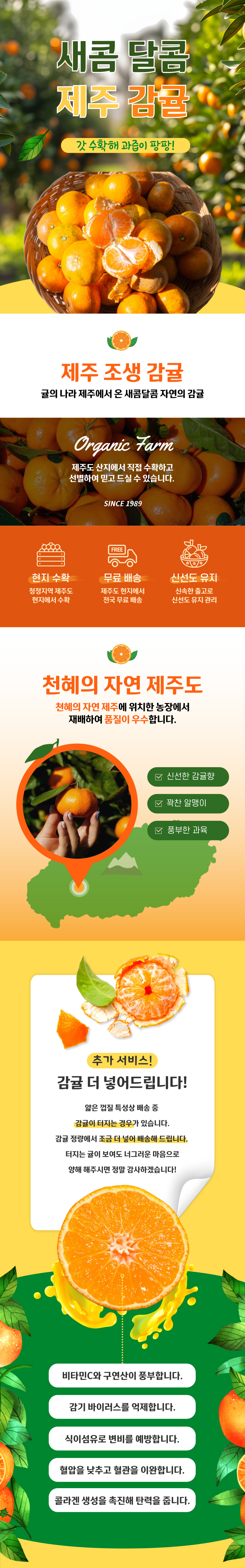 제주감귤,생귤,노지감귤,타이백감귤,제철감귤,감귤,귤