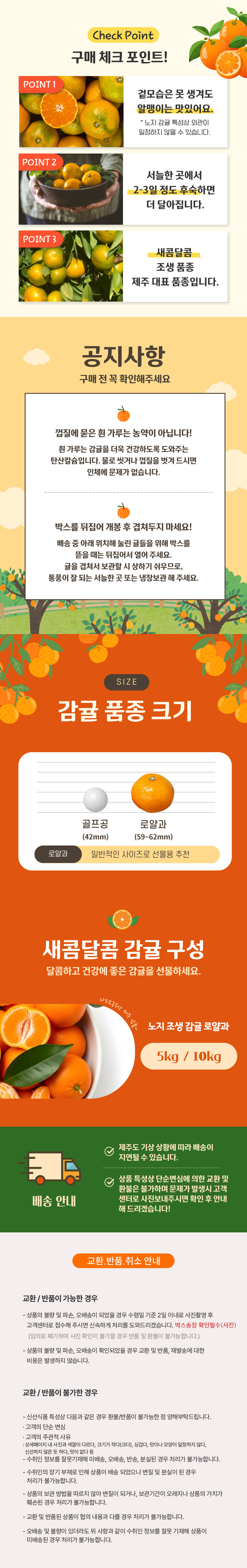 제주감귤,생귤,노지감귤,타이백감귤,제철감귤,감귤,귤