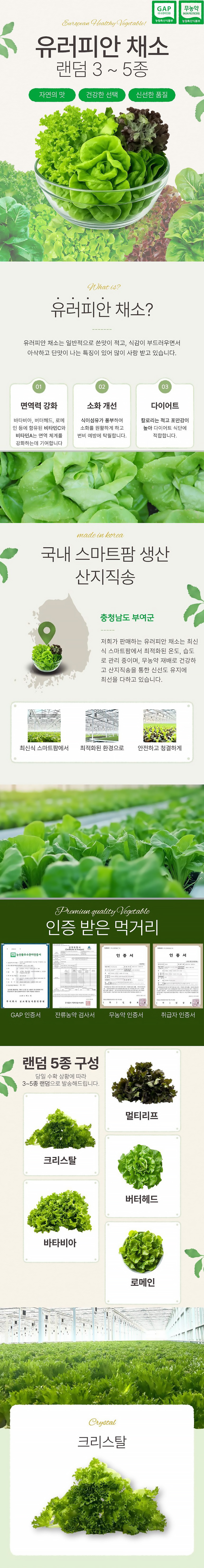 유러피안샐러드,유러피안채소,샐러드,크리스탈,바타비아,로메인,버터헤드,멀티리프,무농약채소,GAP인증