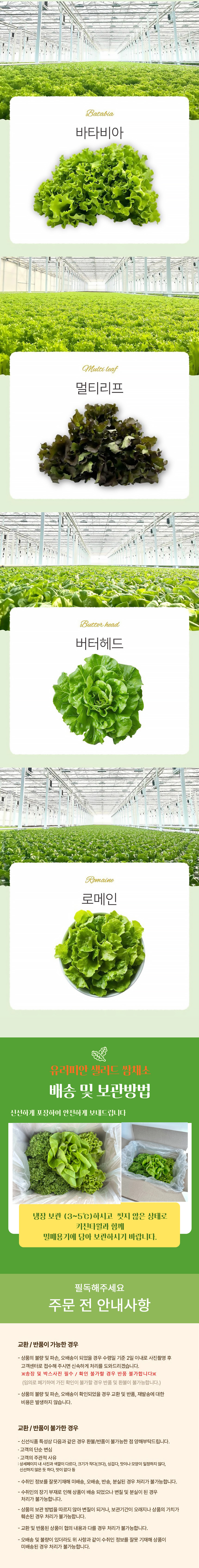 유러피안샐러드,유러피안채소,샐러드,크리스탈,바타비아,로메인,버터헤드,멀티리프,무농약채소,GAP인증
