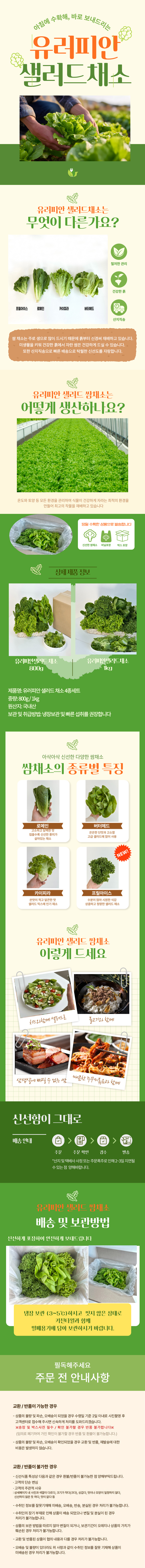 유러피안샐러드,유러피안채소,샐러드,혼합채소,버터헤드,로메인,카이피라,프릴아이스,케일