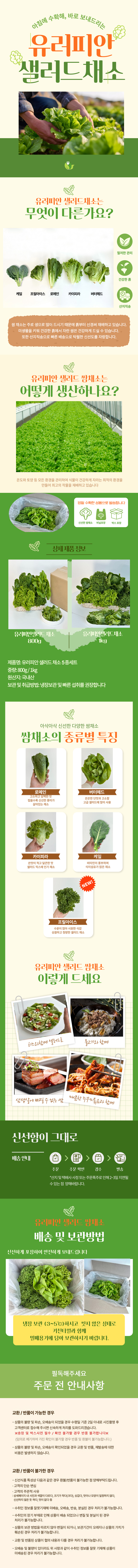 유러피안샐러드,유러피안채소,샐러드,혼합채소,버터헤드,로메인,카이피라,프릴아이스,케일