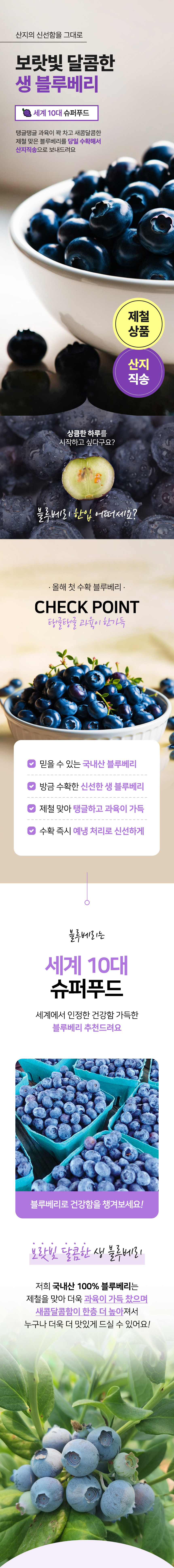 블루베리,생블루베리,국산블루베리,국산생블루베리,블루베리생과,신선과일,블루베리중과,블루베리대과