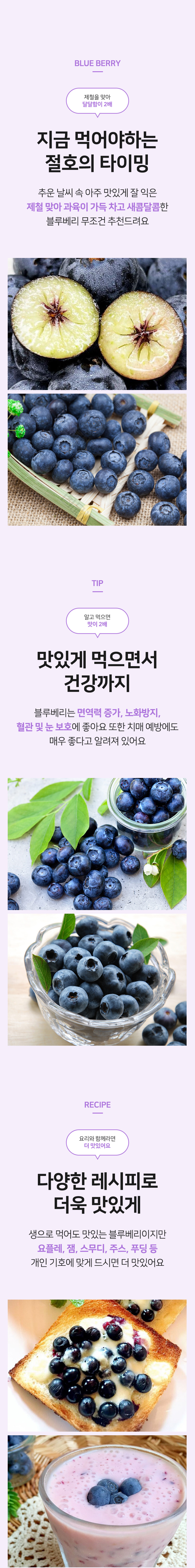 블루베리,생블루베리,국산블루베리,국산생블루베리,블루베리생과,신선과일,블루베리중과,블루베리대과