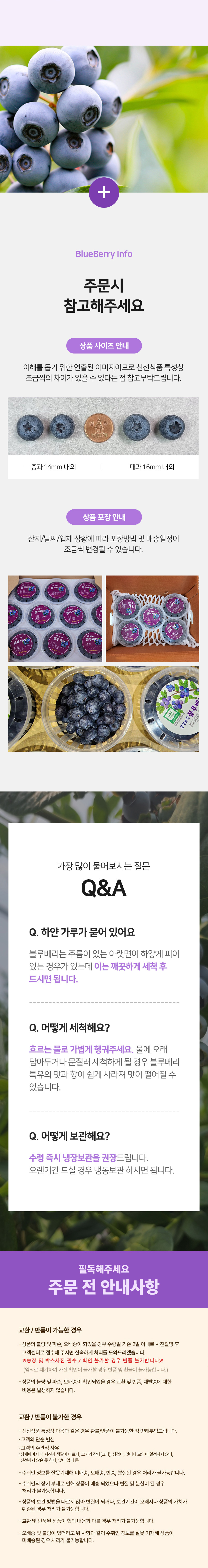 블루베리,생블루베리,국산블루베리,국산생블루베리,블루베리생과,신선과일,블루베리중과,블루베리대과