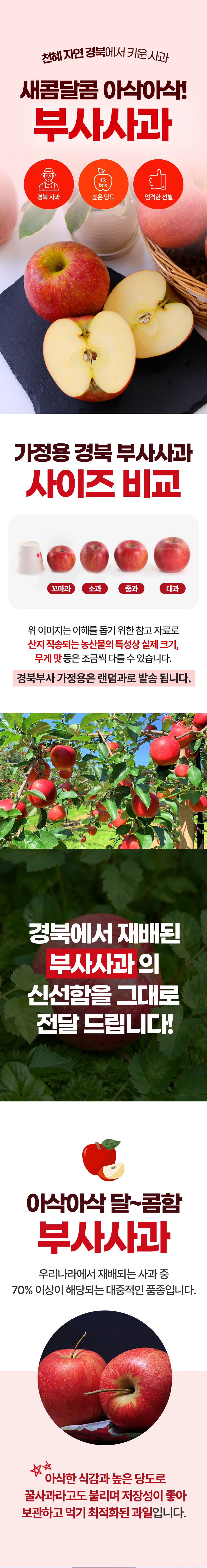 과일,부사,사과,경북부사,가정용사과,가정용부사,고당도사과,고당도부사,신선과일