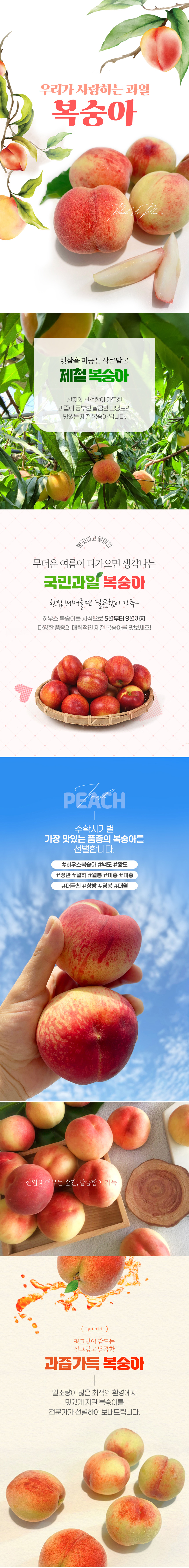 복숭아,하우스복숭아,꿀복숭아,백도복숭아,황도복숭아,고당도복숭,복숭아선물,여름복숭아,제철과일