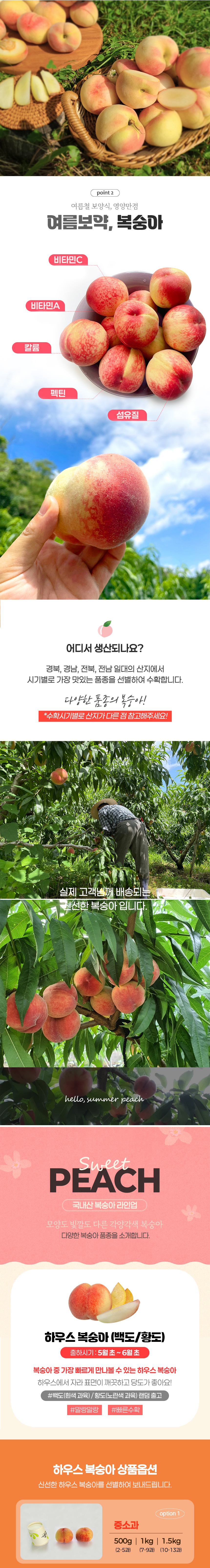 복숭아,하우스복숭아,꿀복숭아,백도복숭아,황도복숭아,고당도복숭,복숭아선물,여름복숭아,제철과일