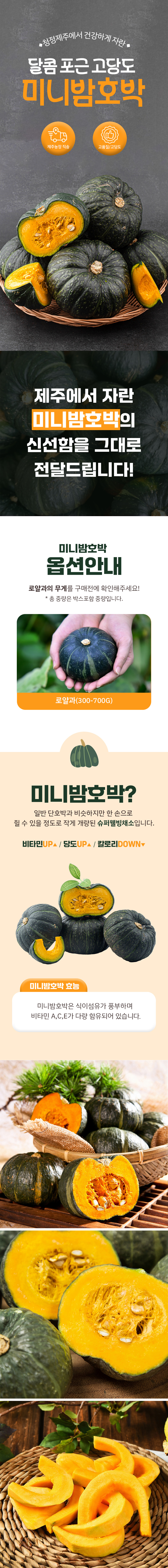 밤호박,단호박,미니밤호박,미니호박,제주호박,제주밤호박,프리미엄호박,밤단호박