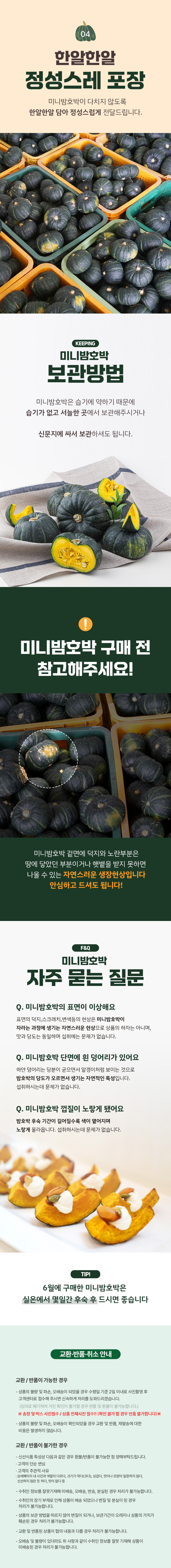 밤호박,단호박,미니밤호박,미니호박,제주호박,제주밤호박,프리미엄호박,밤단호박