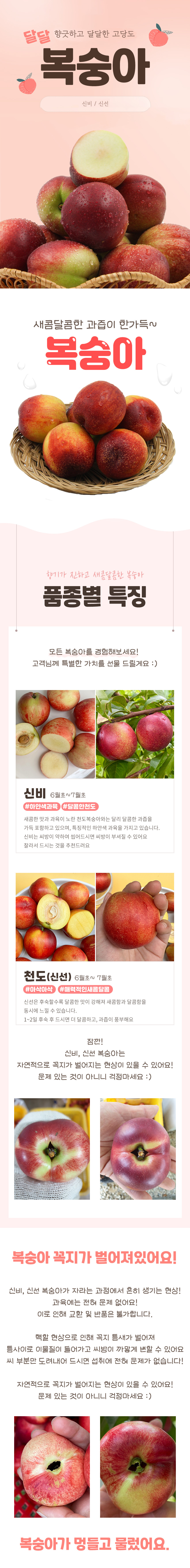 과일,복숭아,신선복숭아,신비복숭아,고당도복숭아,로얄복숭아,가정용복숭아,복숭아제철