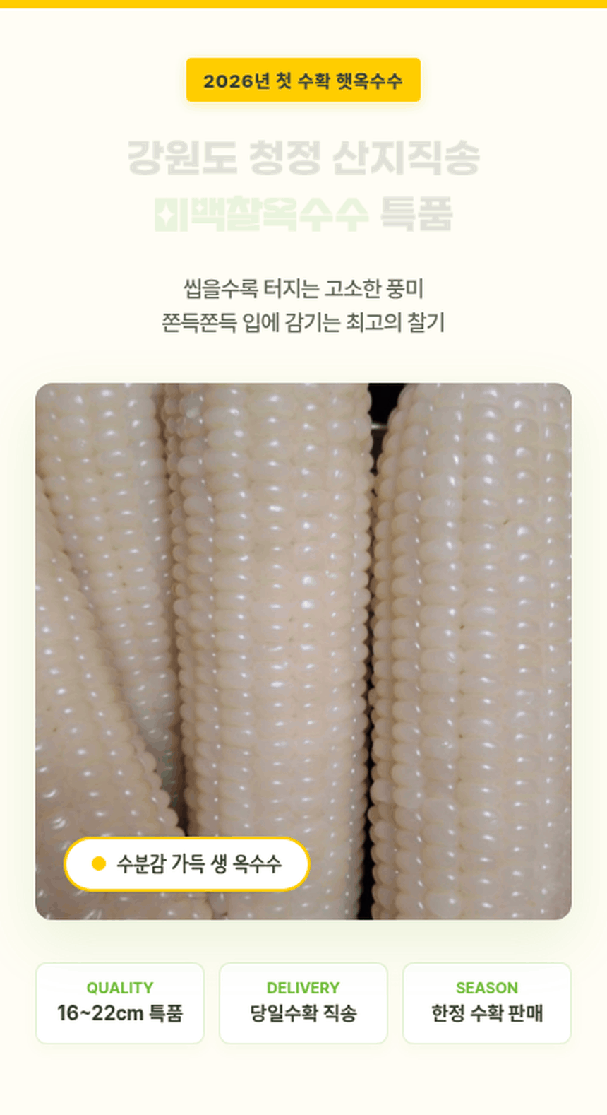 옥수수,강원도찰옥수수,찰옥수수,영양간식,어린이간식,미백찰옥수수,특품옥수수,산지직송옥수수