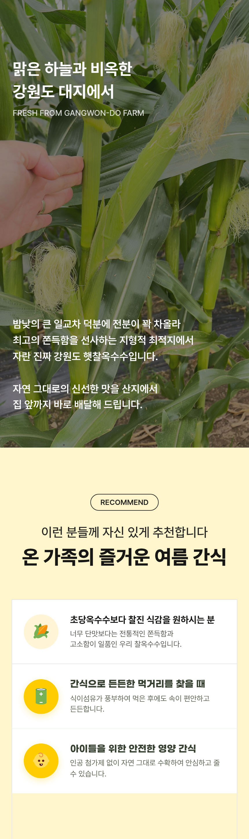 옥수수,강원도찰옥수수,찰옥수수,영양간식,어린이간식,미백찰옥수수,특품옥수수,산지직송옥수수