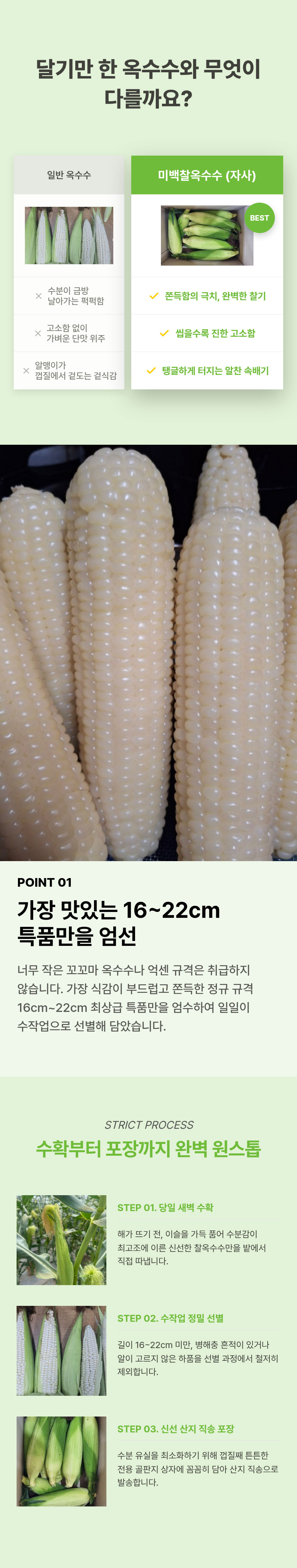 옥수수,강원도찰옥수수,찰옥수수,영양간식,어린이간식,미백찰옥수수,특품옥수수,산지직송옥수수