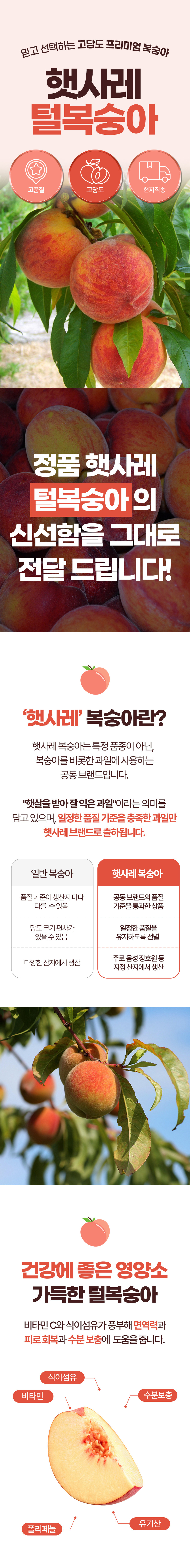 복숭아,털복숭아,햇사레복숭아,황도복숭아,백도복숭아,물복,딱복,과일선물,제철과일