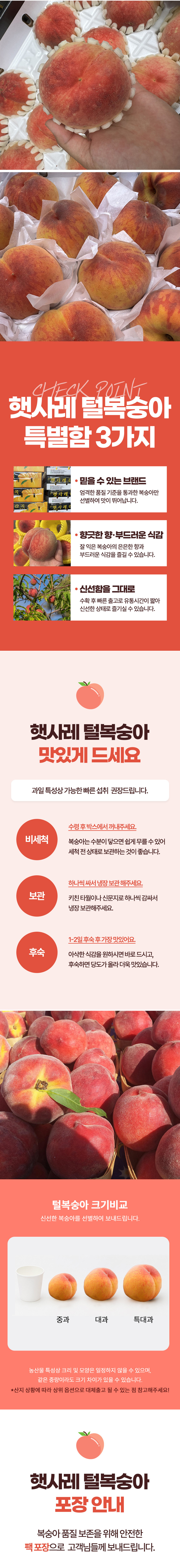 복숭아,털복숭아,햇사레복숭아,황도복숭아,백도복숭아,물복,딱복,과일선물,제철과일