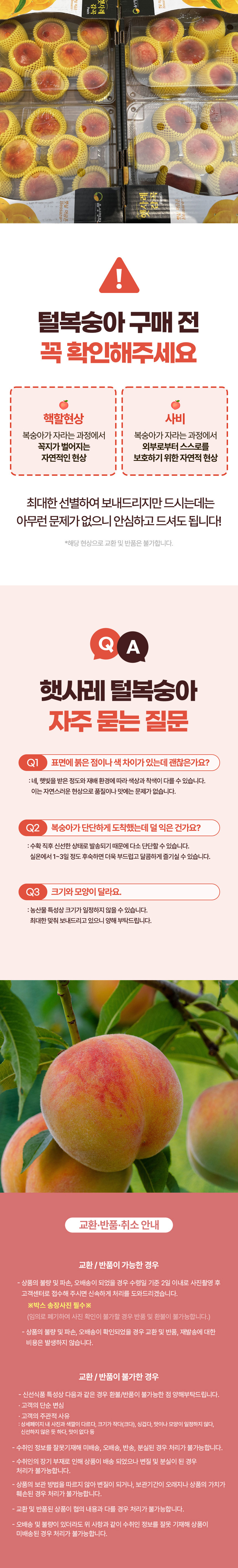 복숭아,털복숭아,햇사레복숭아,황도복숭아,백도복숭아,물복,딱복,과일선물,제철과일