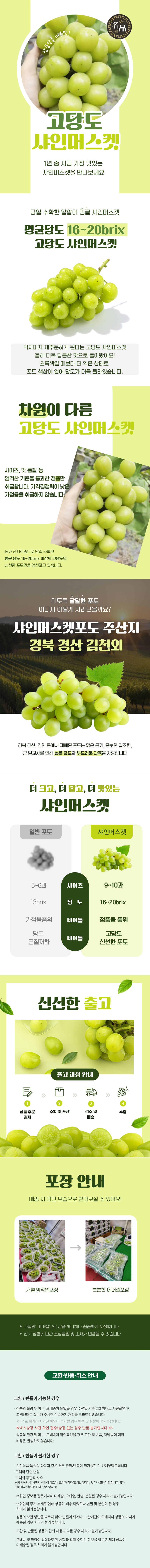 샤인머스켓,청포도,샤인머스캣,과일선물,샤인머스켓특품,고당도샤인머스켓,추석선물,과일세트,포도