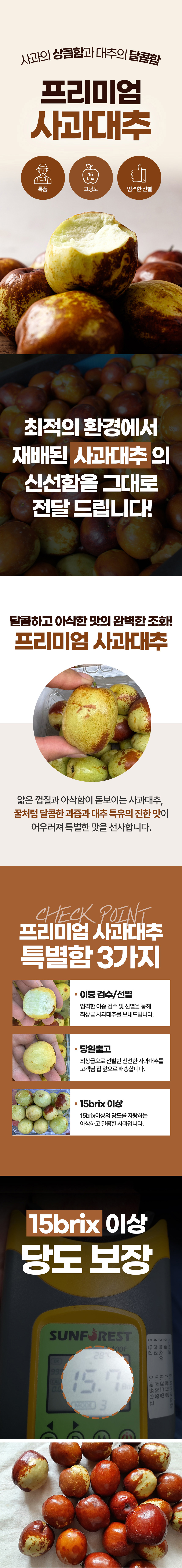 과일,대추,사과대추,국산대추,제사과일,제사대추,생대추