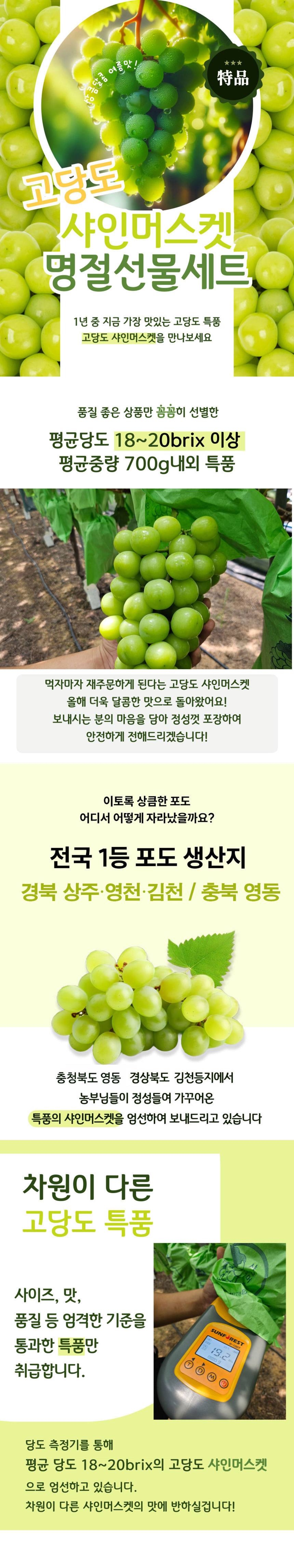 포도,거봉,샤인머스켓,포도선물세트,샤인머스켓선물세트,과일선물세트,명절선물세트,추석선물세트