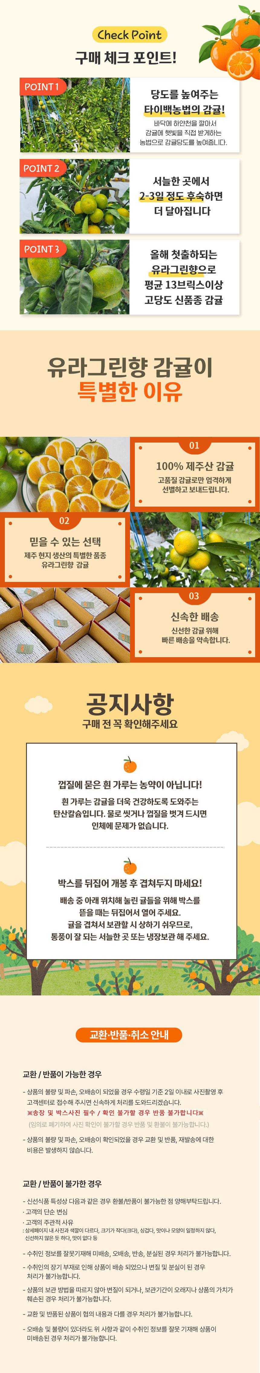 제주감귤,생귤,유라실생,유라실생감귤,제철감귤,감귤,귤