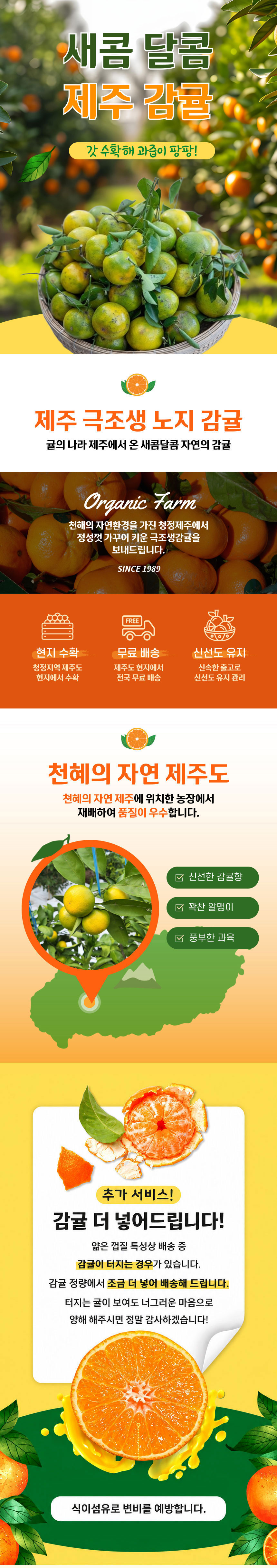 제주감귤,극조생귤,극조생감귤,노지감귤,제철감귤,감귤,귤