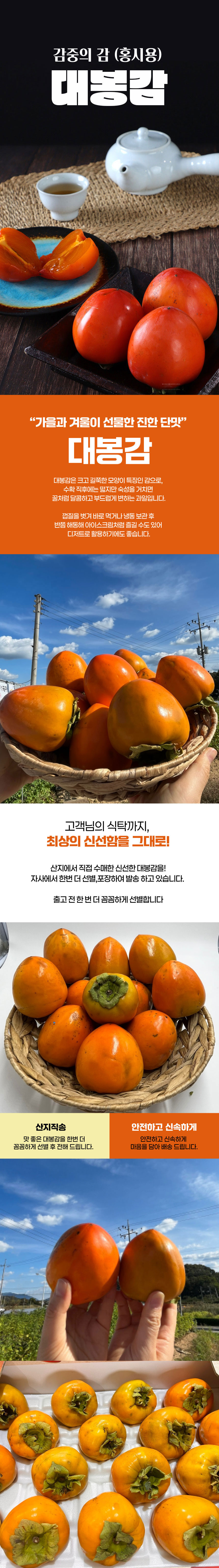 감,대봉감,홍시,홍시감,단감,대봉홍시,가을과일,후숙과일,과일
